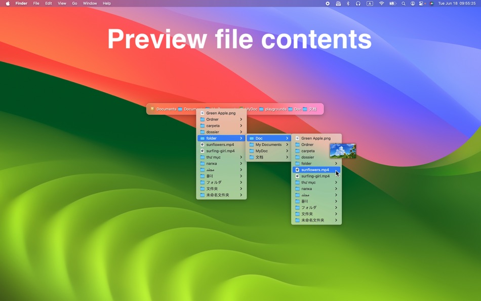 #2. File Drawer (macOS) 由: 栋梁 周