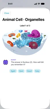Study.Buddy screenshot 6
