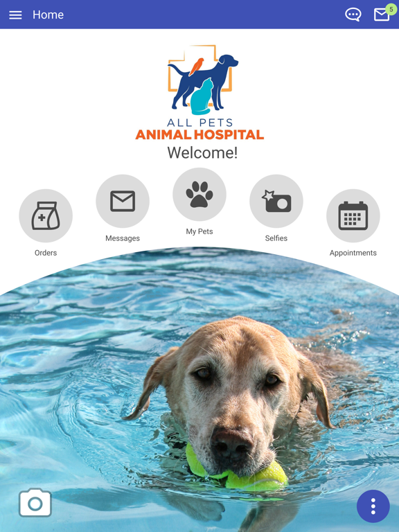 All Pets Animal Hospital