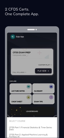 CFDS Financial Data Prep (+AI) Screenshot 2 of 7