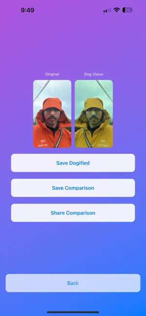 Pawvision screenshot 4