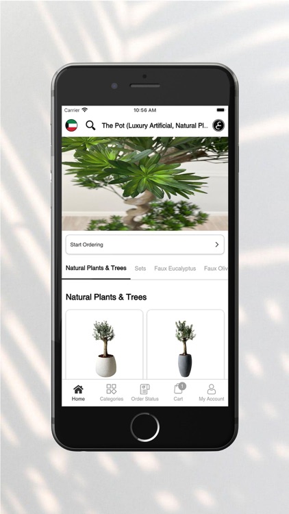 The Pot - ذا بوت