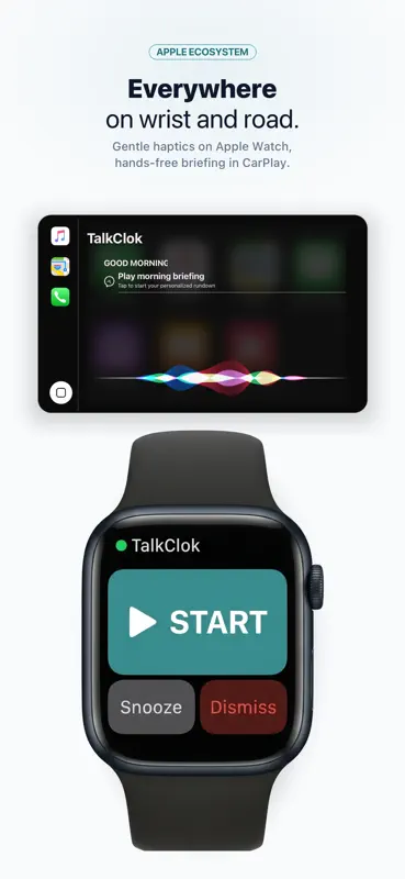 TalkClok. Talking alarm clock. screenshot 9 of 9