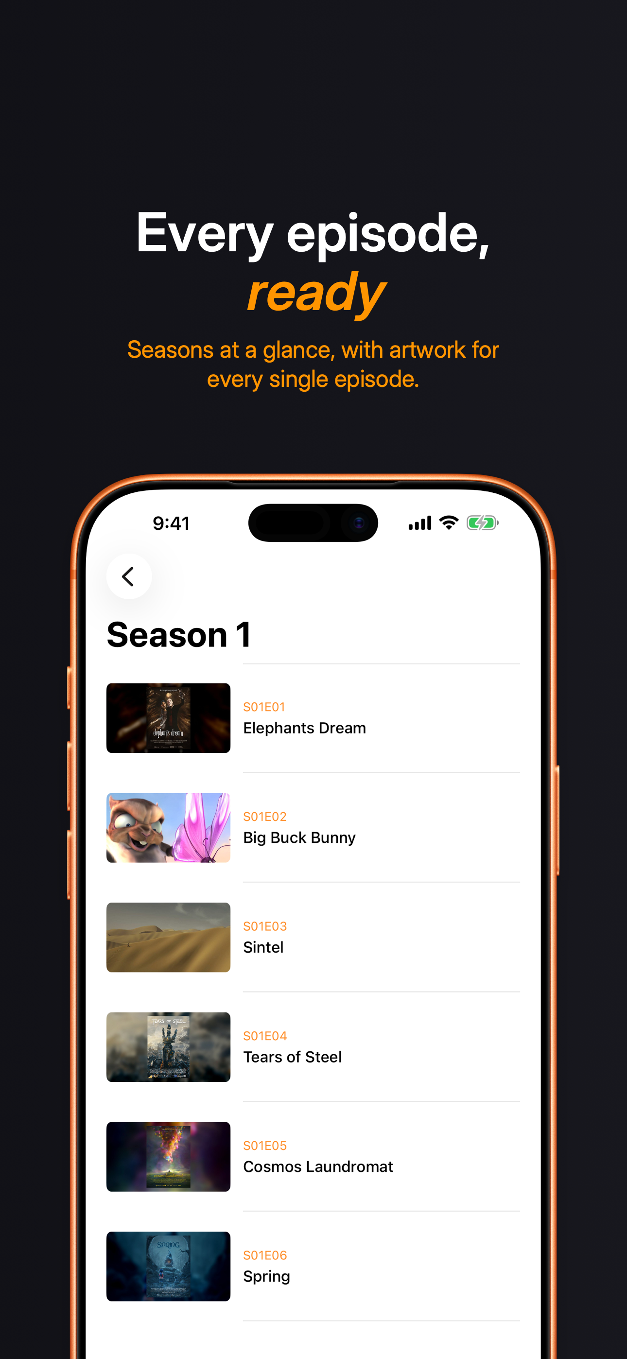 Nest - Video Player screenshot 4