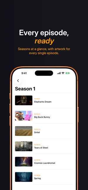 Nest - Video Player screenshot 4