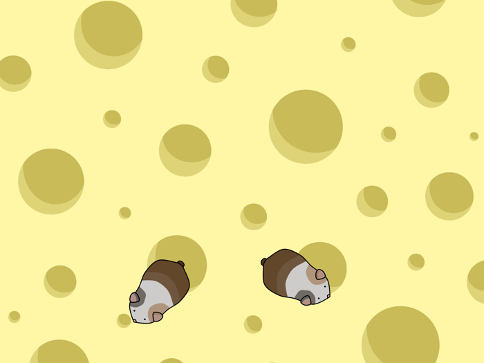 Cat Games - Games For Cats