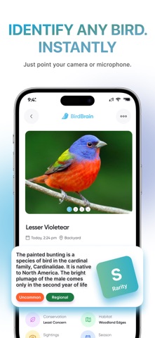 BirdBrain: Bird Identifier screenshot