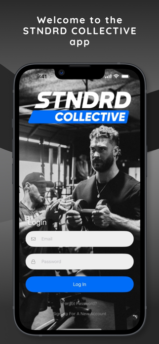 STNDRD Collective Screenshot 1 of 4