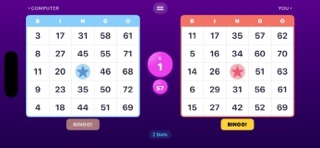 BingoZone Screenshot 2 of 3