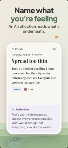 Calmplot: Private AI Journal Screenshot 2 of 10