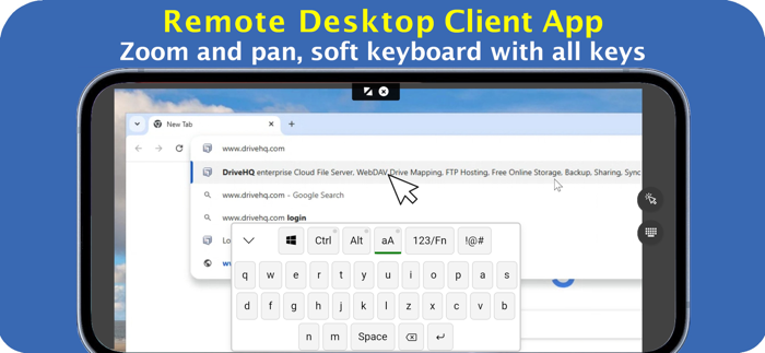 DriveHQ Team Anywhere Viewer
