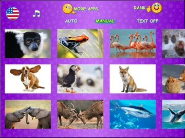 Animal picture games for kids iPad screenshot