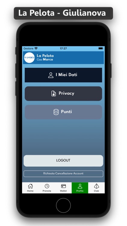 La Pelota screenshot-5