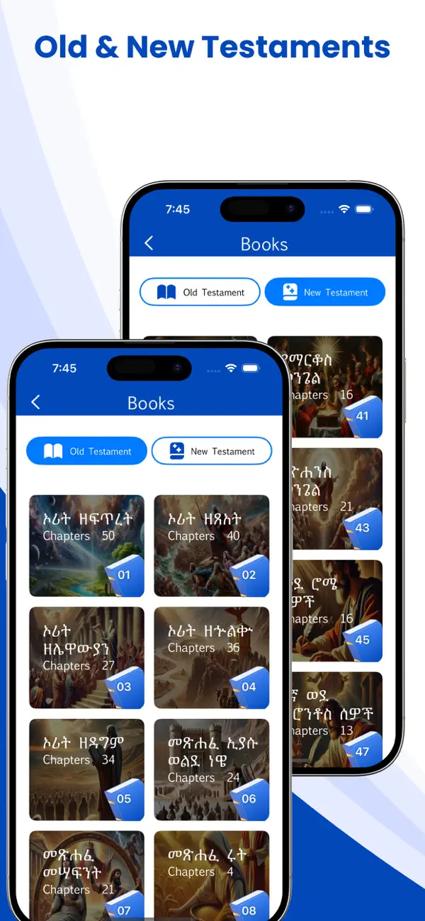 Screenshot #2 pour Amharic Bible Offline
