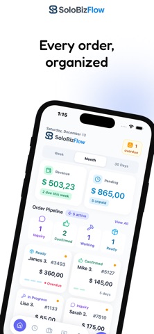 SoloBizFlow screenshot