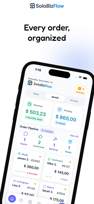 SoloBizFlow Screenshot 2 of 7