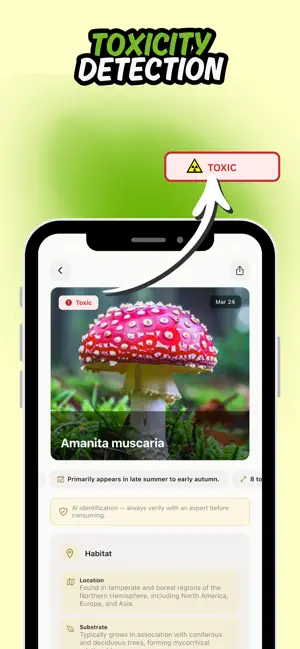Mushroom Identifier: MycoID screenshot 2