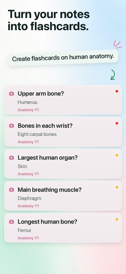 MindStack Flashcards screenshot 3
