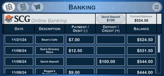 Transaction Trainer iPhone screenshot
