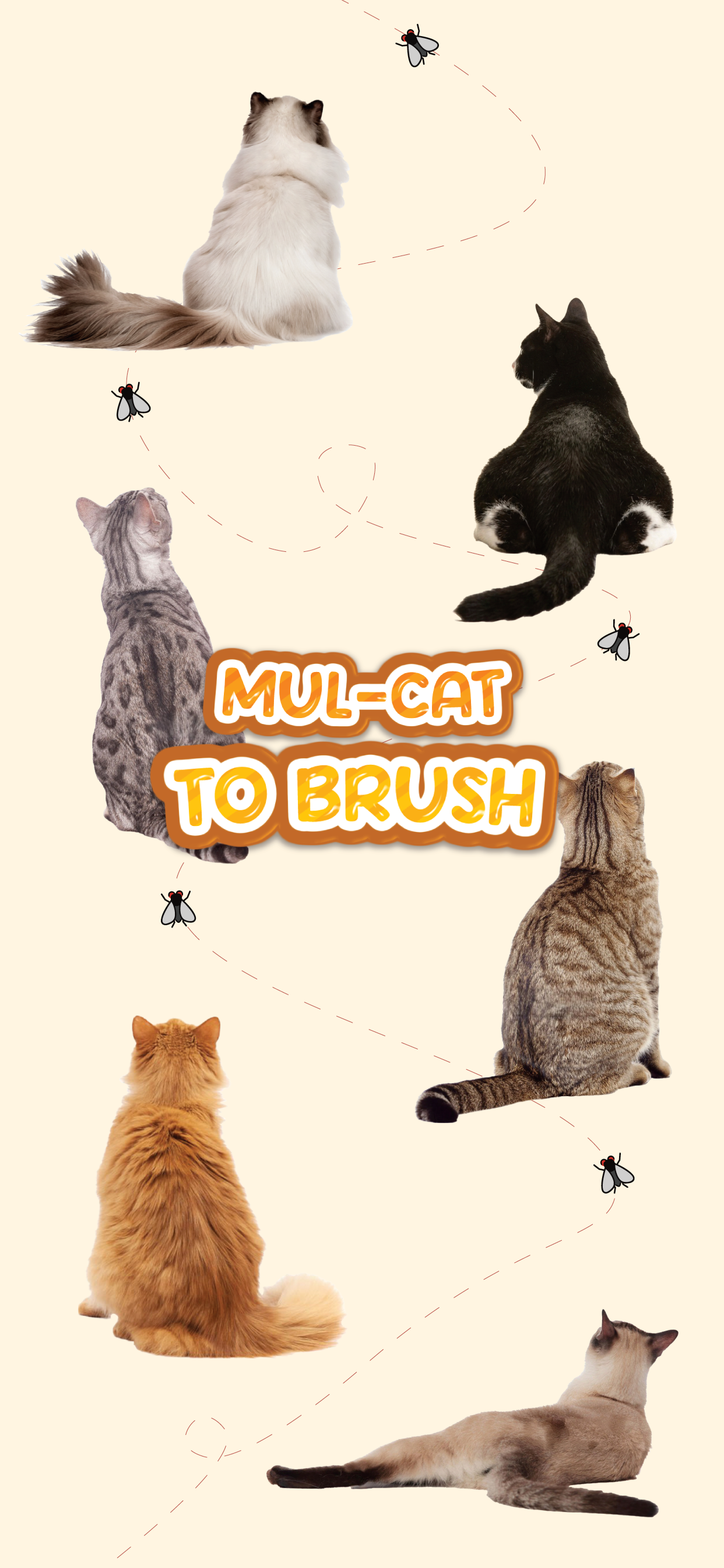 Brush Jjaemu - Brush the Cat
