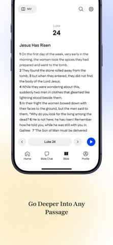 HolyChat screenshot