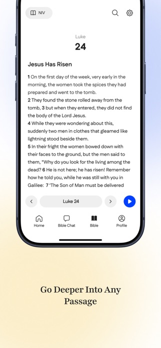HolyChat Screenshot 6 of 7