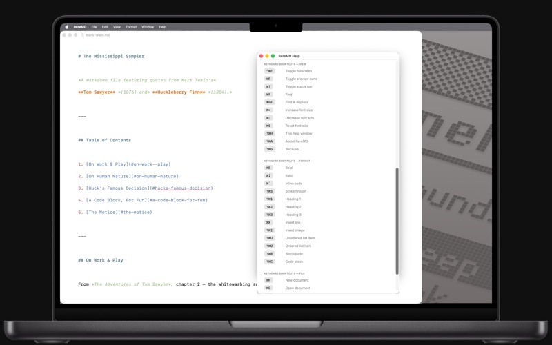 RereMD screenshot
