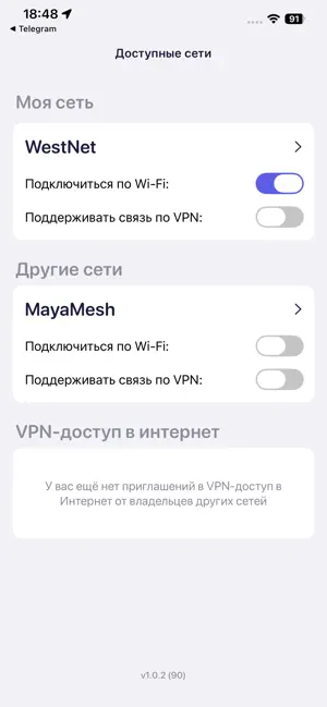 Home Mesh Net: Private Network screenshot 1