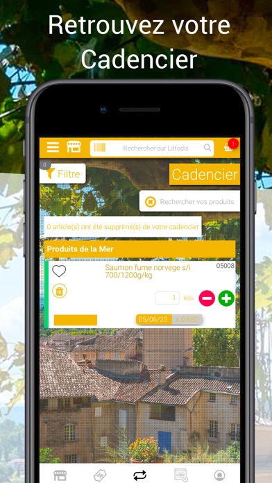 Littodis Screenshot