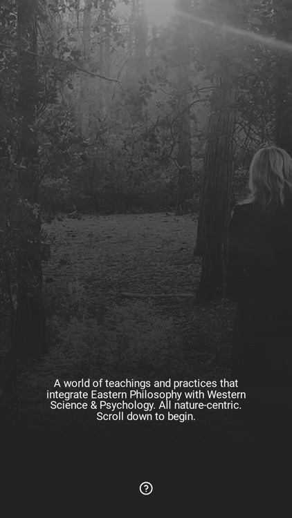 Julia Frodahl (discontinuing)