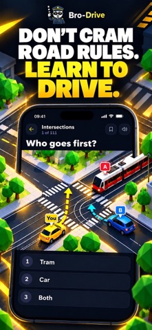 Bro Drive: Driving Theory 3D screenshot 1