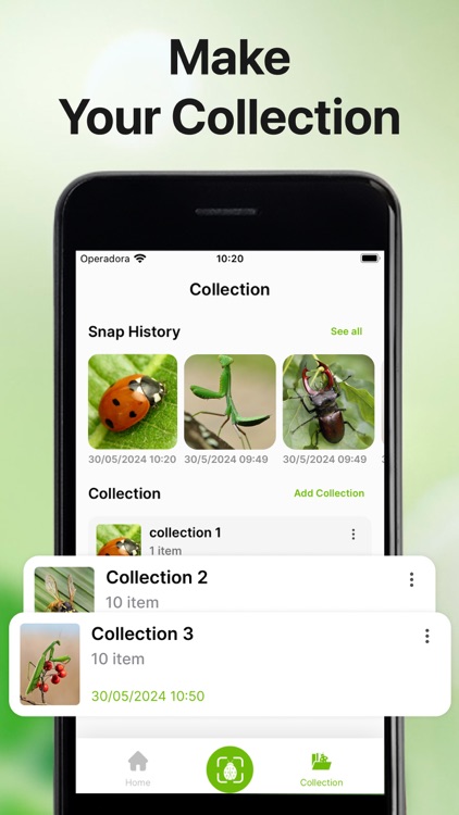 Bug Sound Identifier Insect ID screenshot-5