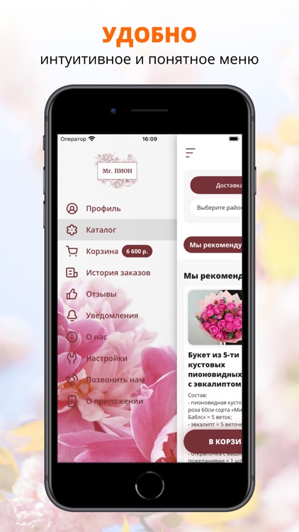 Mr.ПИОН | Ростов-на-Дону