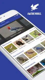 iknow birds lite iPhone Captures Décran 1