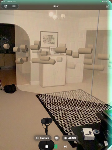 RipX: Reactive 3D Music iPad screenshot