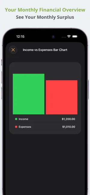 Bank Account Budget Tracker screenshot 3