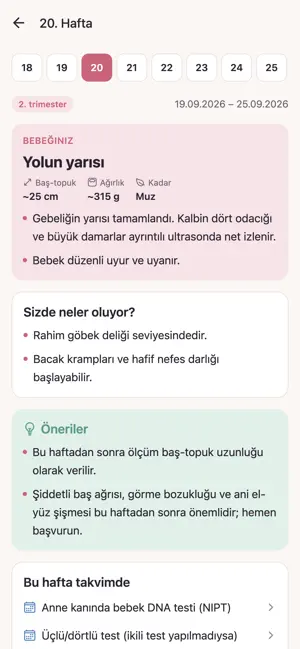 Gebelik Rehberi: Hafta Hafta screenshot 2