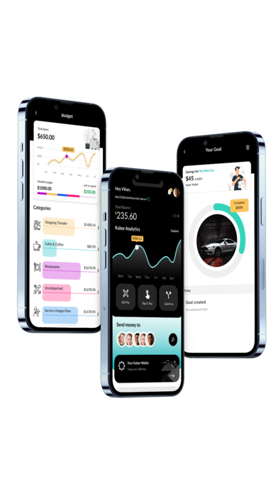 Kuber Financial Screenshot