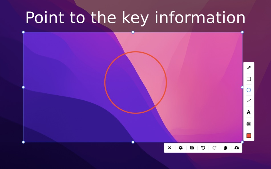 #5. PixelTaken (macOS) 由: JOIN.TO.IT, TOV