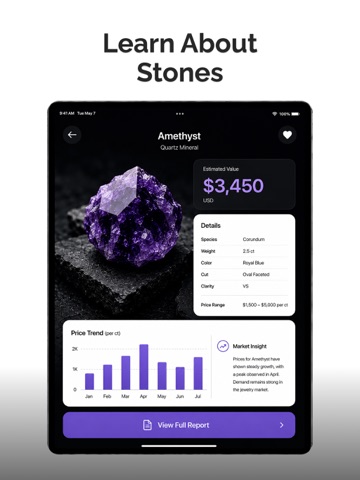 Stone Identifier: Rock ID App iPad screenshot