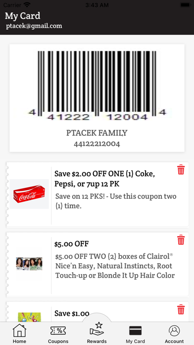 Ptacek’s Family Market Screenshot