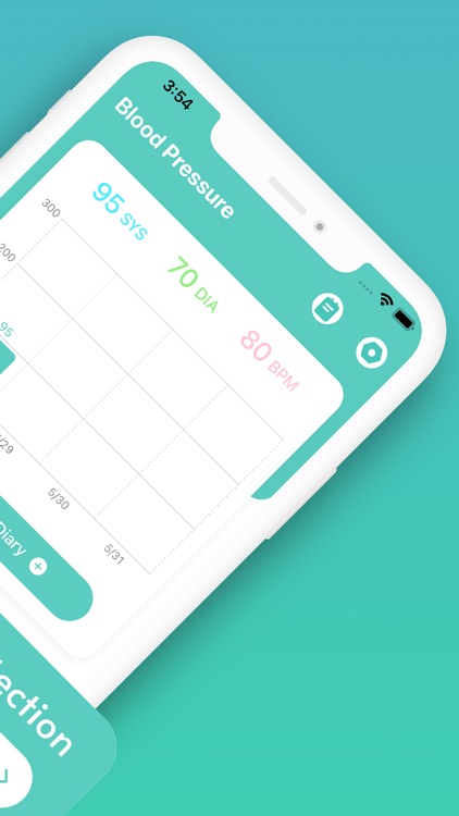 Blood Pressure-Smart Record