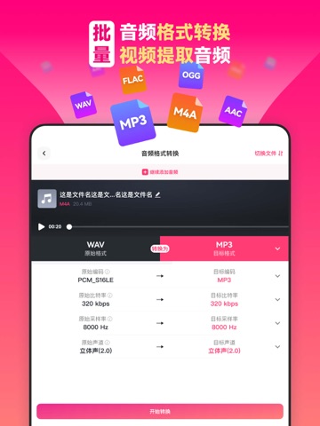转换猫mp3转换器 - 音频剪辑&音频转换器&人声分离 iPad screenshot 2