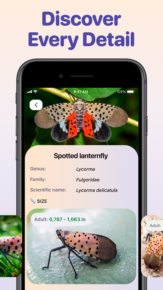 #7. Bug ID - Insect Identifier (iOS) 게시자: AIBY