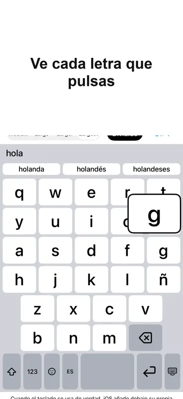BigKeys Teclado Grande screenshot 3 of 7