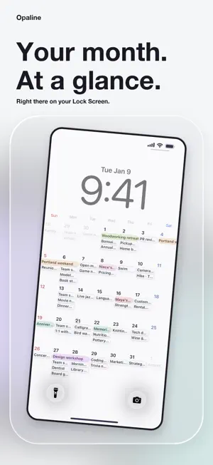 Opaline - Themed Calendar screenshot 1