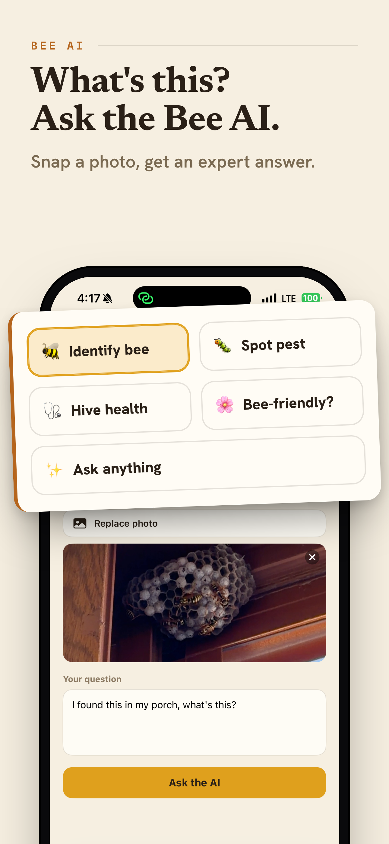Beekeeping Community, Forums screenshot 4