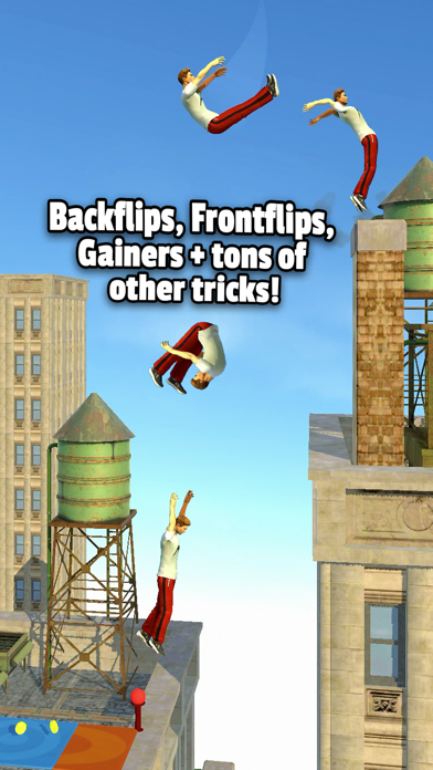 screenshot of Flip Runner 1