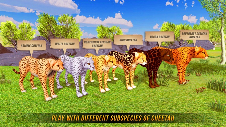 Wild Cheetah Simulator 3D