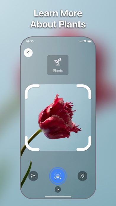 Lens Scan: Identify Anything Screenshot